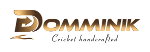 Domminik Cricket Logo